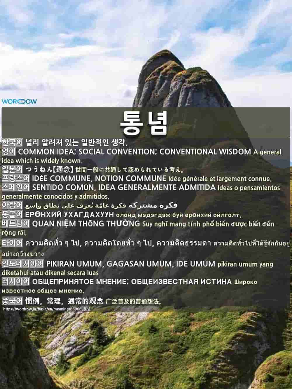 통념: COMMON IDEA; SOCIAL CONVENTION; CONVENTIONAL WISDOM