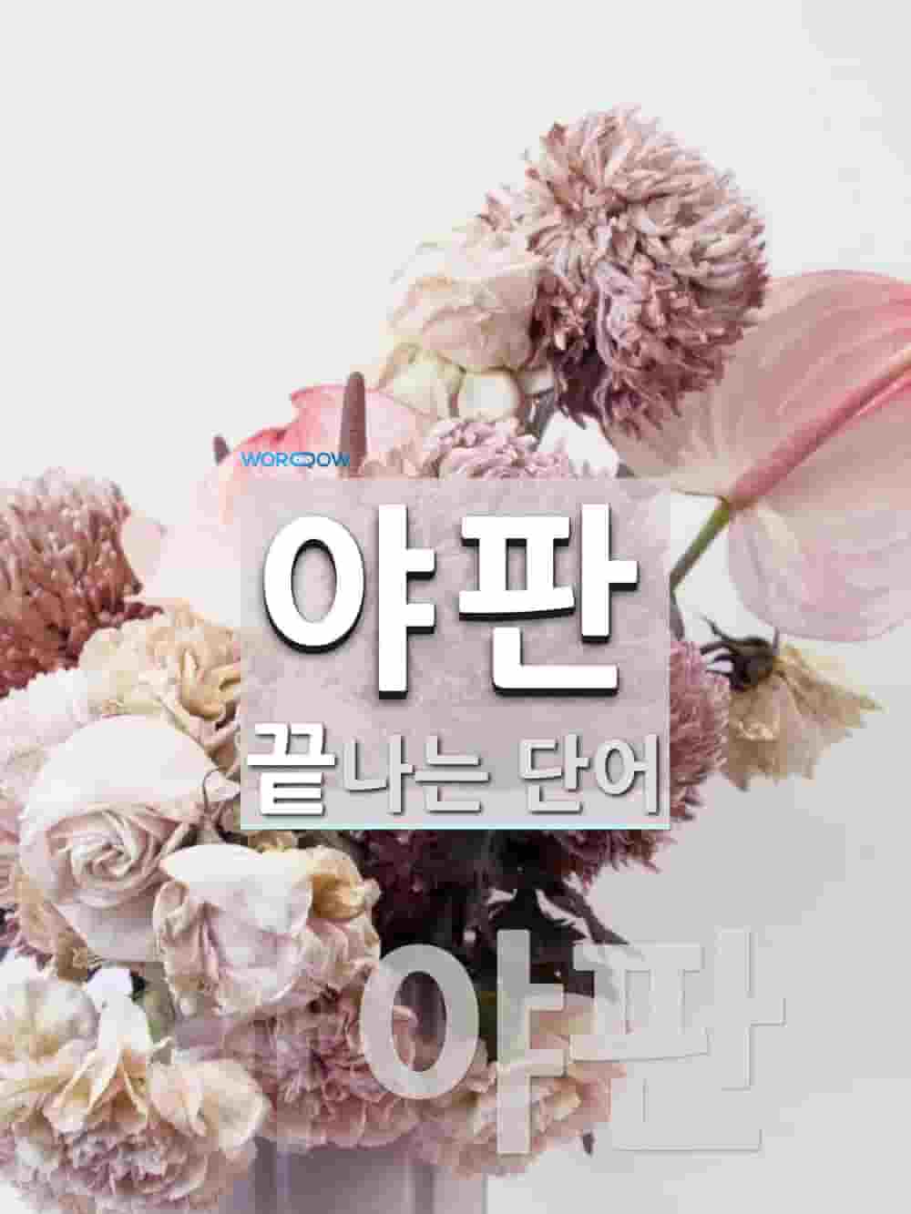 야판으로 끝나는 단어는? 1개