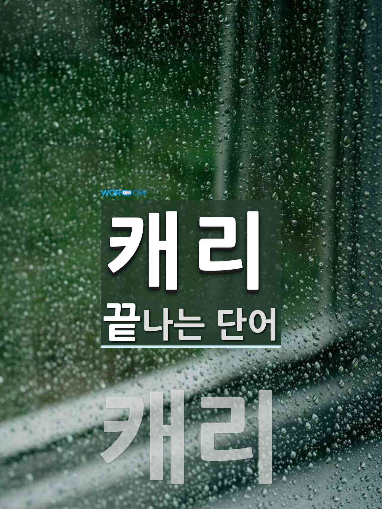 캐리로 끝나는 단어는? 14개