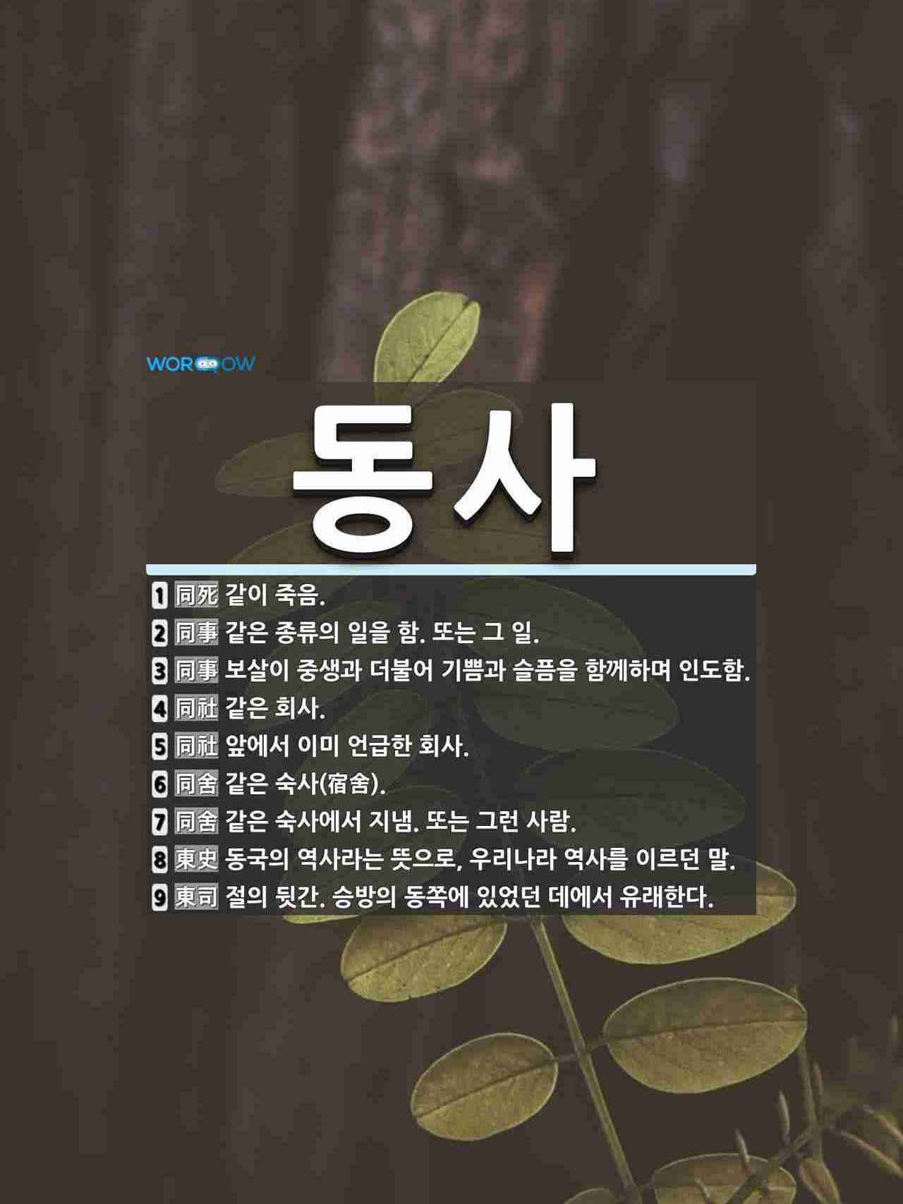 동사 뜻: 같이 죽음., 같은 종류의 일을 함. 또는 그 일., 보살이 중생과 더불어 기쁨과 슬픔을 [국어 사전]