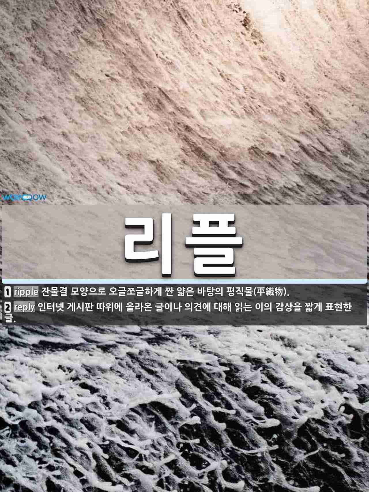 리플 뜻: 잔물결 모양으로 오글쪼글하게 짠 얇은 바탕의 평직물(平織物)., 인터넷 게시판 따위에 올라 [국어 사전]