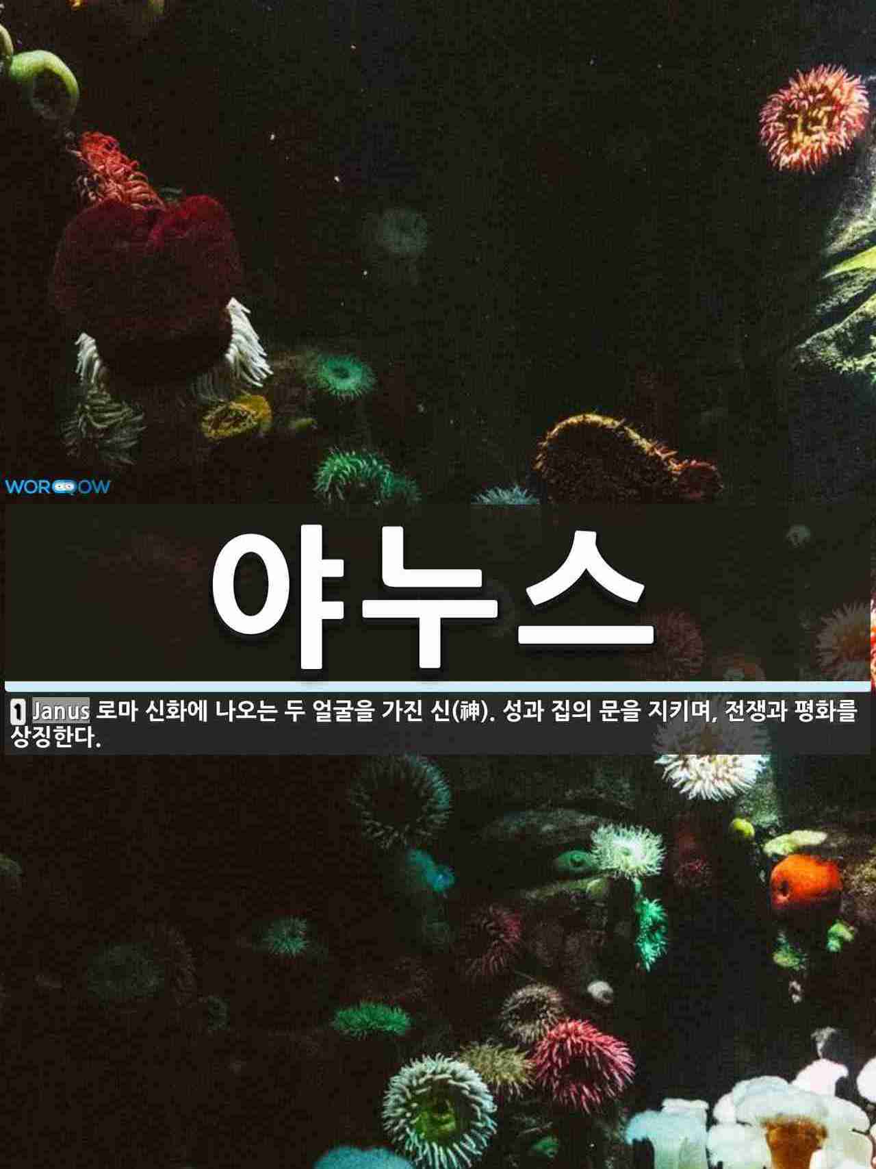 야누스 뜻: 로마 신화에 나오는 두 얼굴을 가진 신(神). 성과 집의 문을 지키며, 전쟁과 평화를 상징