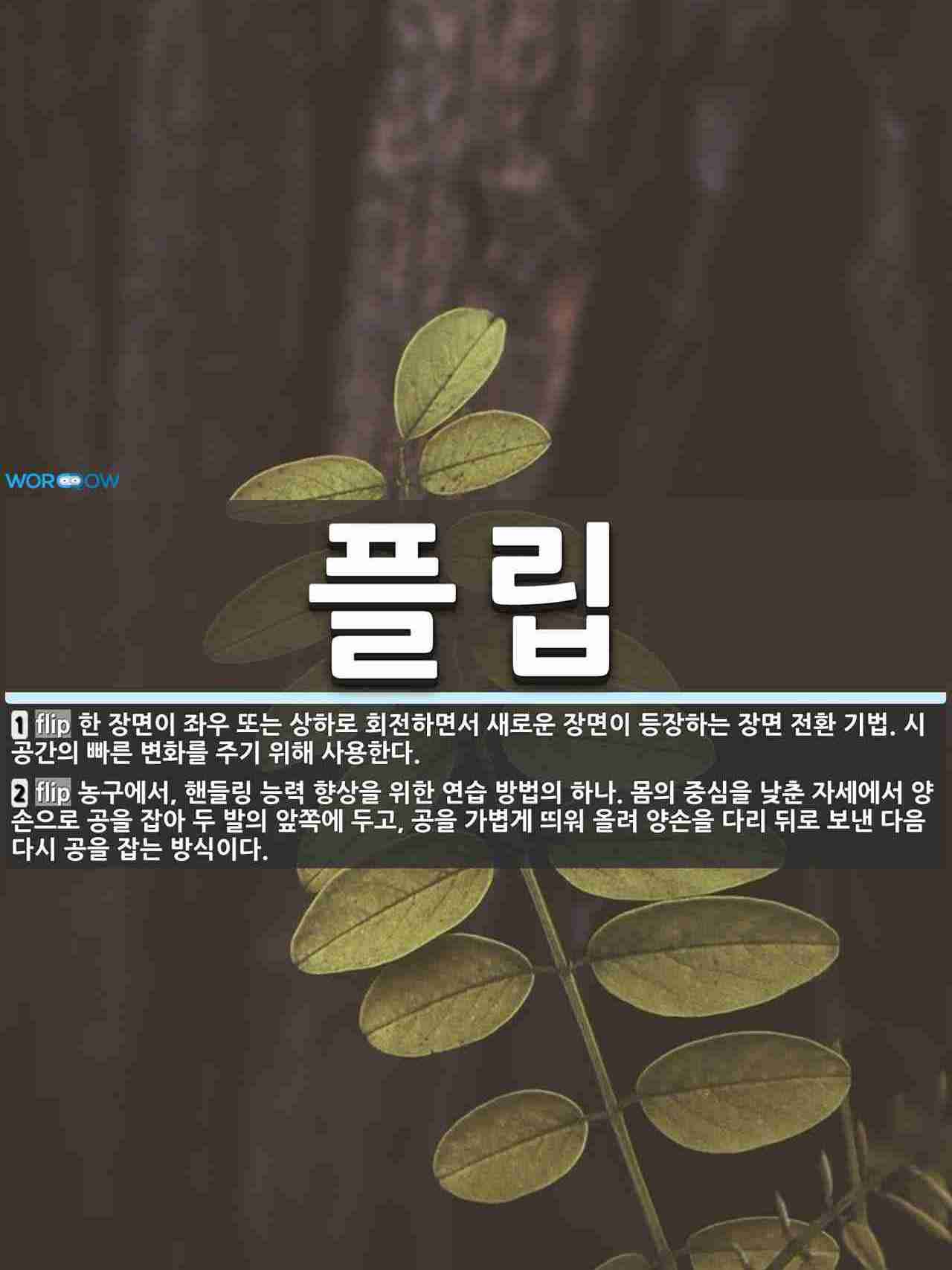 플립 뜻: 한 장면이 좌우 또는 상하로 회전하면서 새로운 장면이 등장하는 장면 전환 기법. 시공간의 [국어 사전]