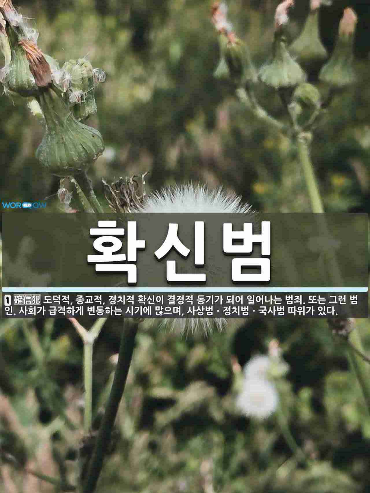 확신범 뜻: 도덕적, 종교적, 정치적 확신이 결정적 동기가 되어 일어나는 범죄. 또는 그런 범인. 사회