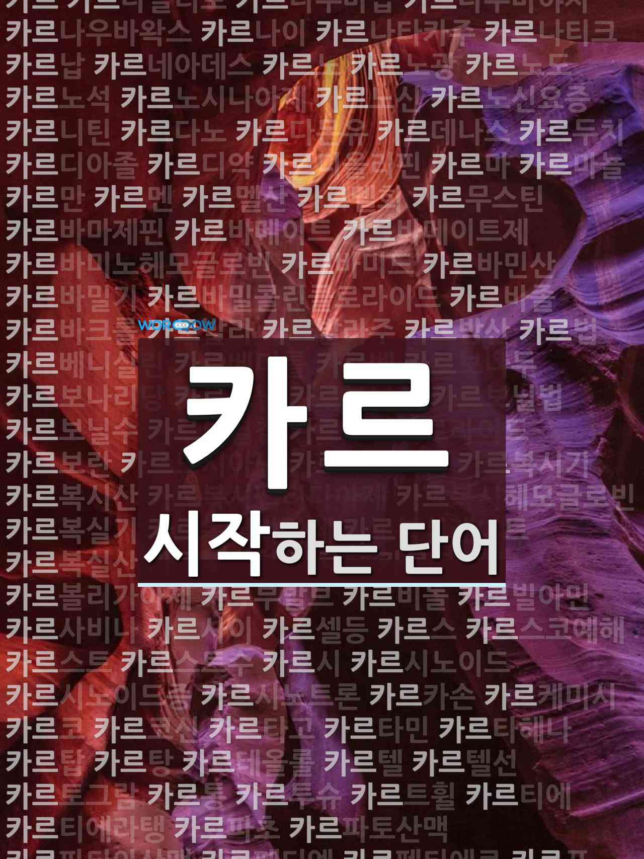 카르로 시작하는 단어는? 203개
